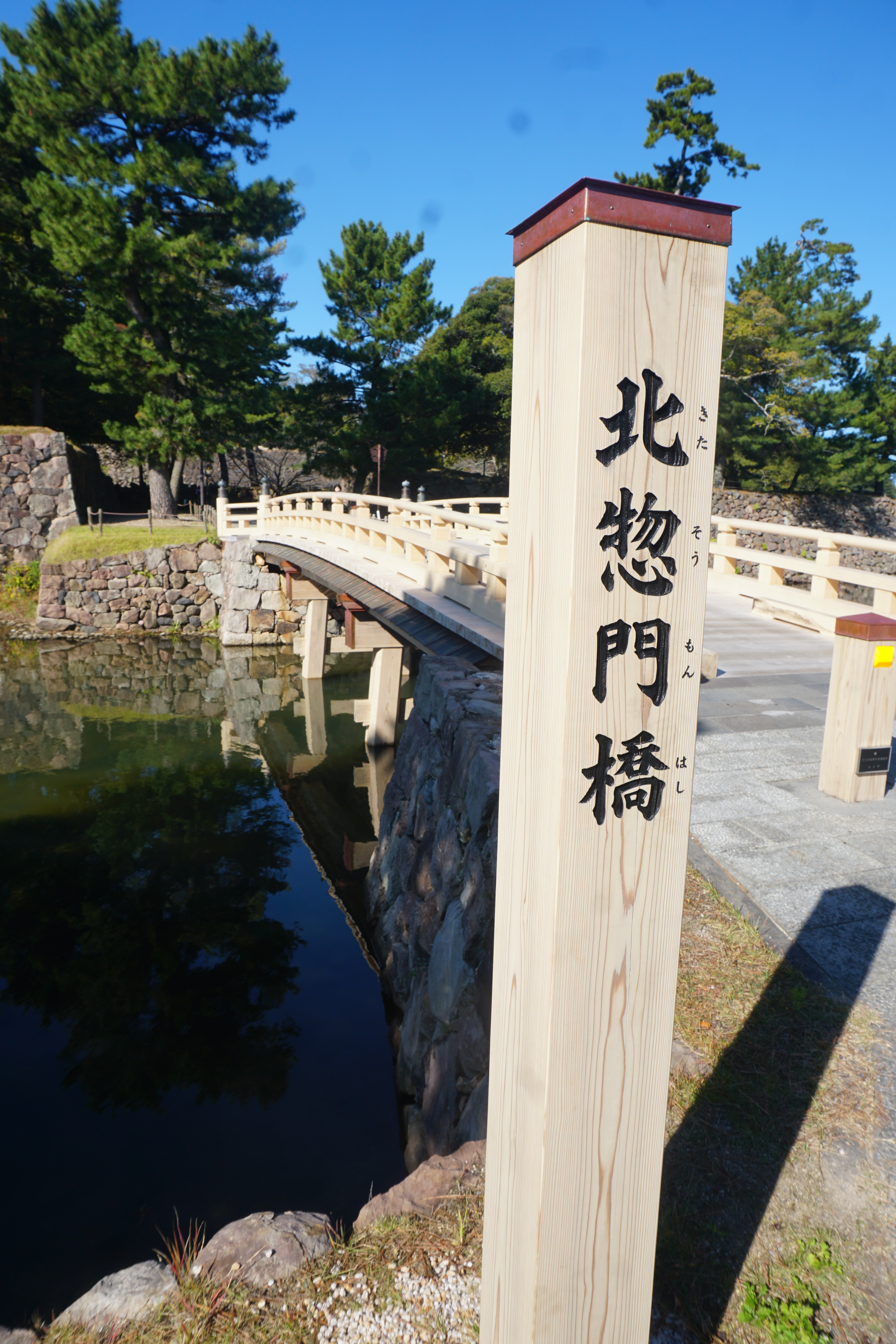 dsc01879.jpg